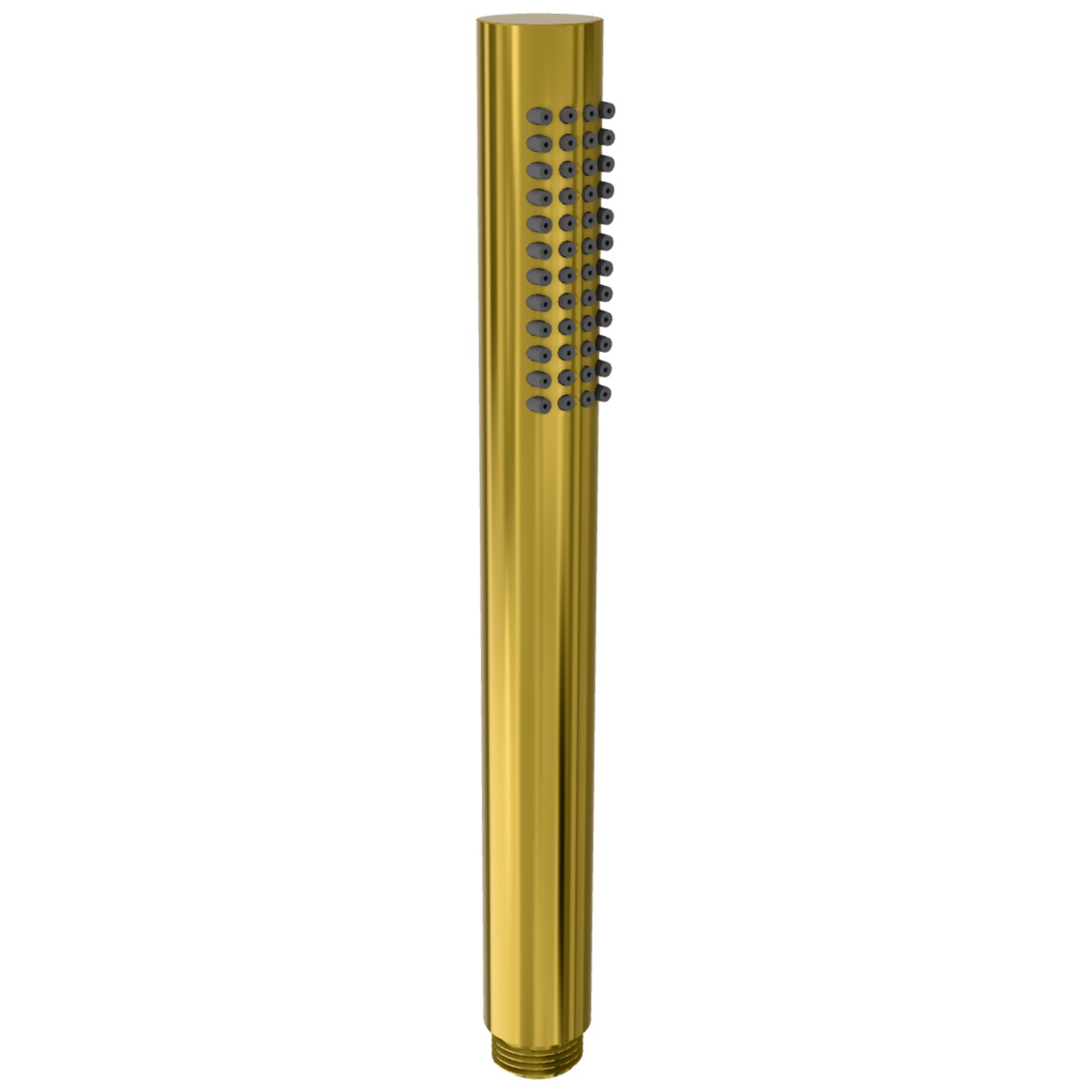 Remer Душевая лейка из латуни, 1 вид струи, цвет: oro PVD 317MCGPX