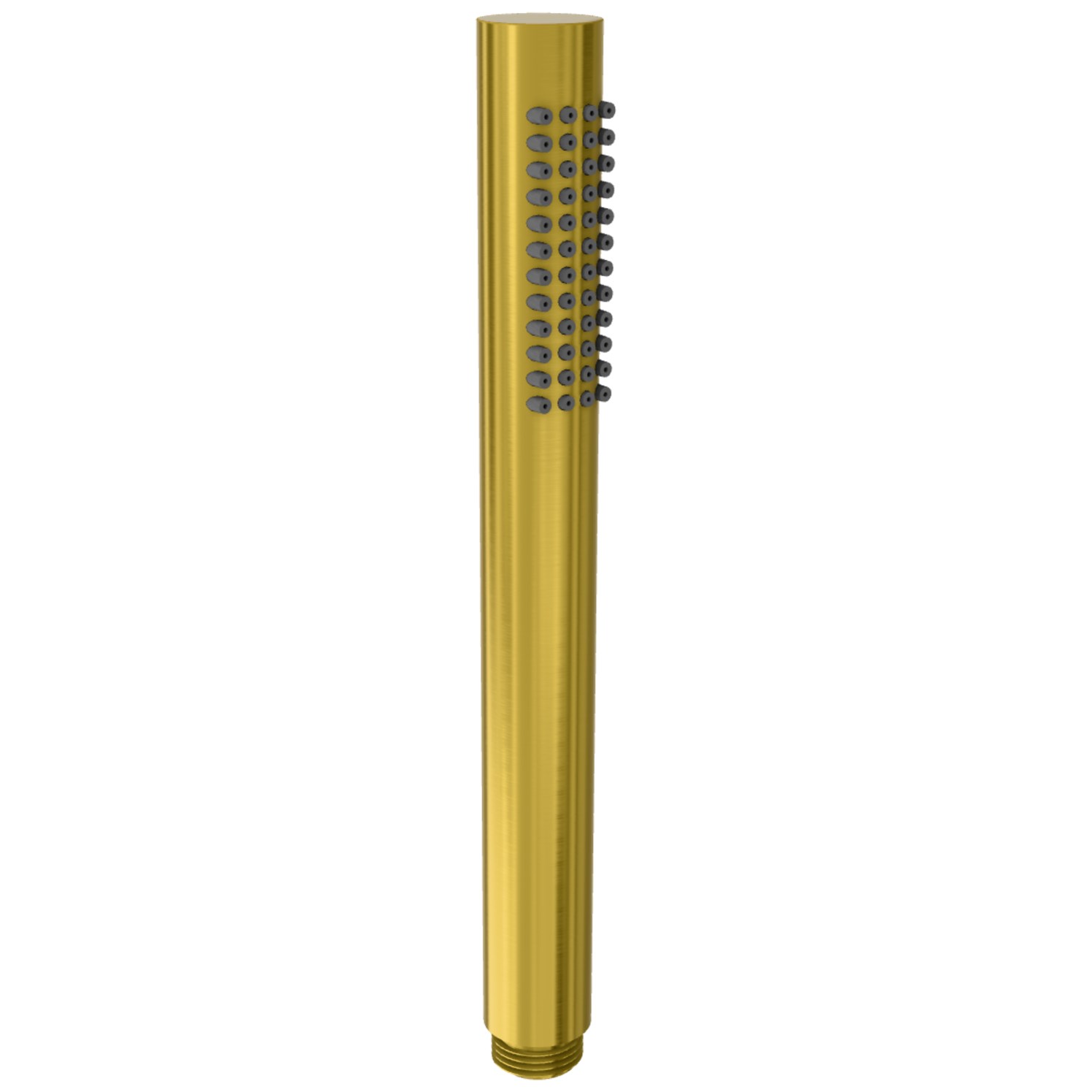Remer Душевая лейка из латуни, 1 вид струи, цвет: ottone spazzolato PVD 317MCHSX