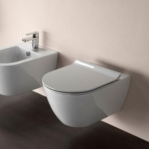 ЛАКОНИЧНОСТЬ ЛИНИЙ