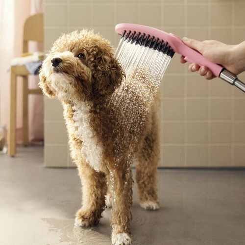 ФУНКЦИОНАЛЬНОСТЬ