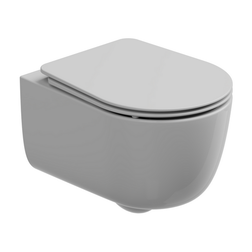 ВЫРАЗИТЕЛЬНОСТЬ, СТАВШАЯ РЕАЛЬНОСТЬЮ