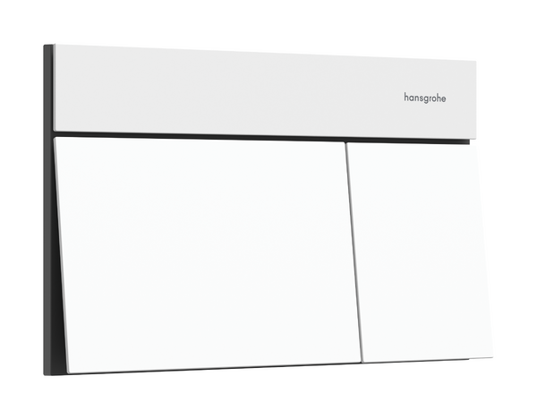 Hansgrohe iFrame Кнопка смыва для унитаза, 2 режима, металл, цвет: matt white 66003700