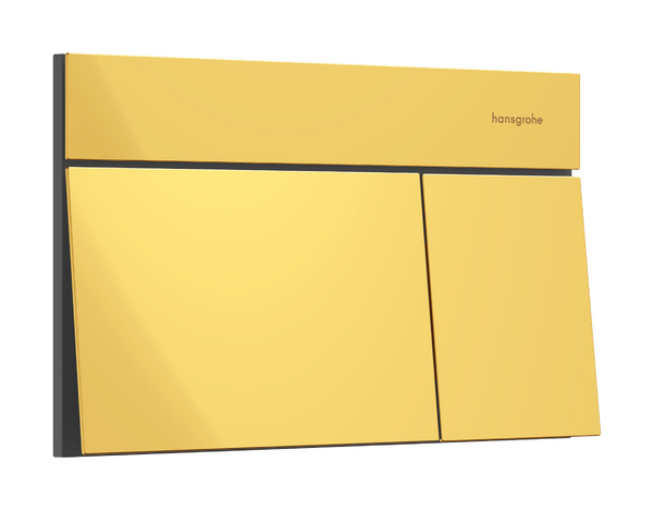 Hansgrohe iFrame Кнопка смыва для унитаза, 2 режима, металл, цвет: polished gold optic 66003990