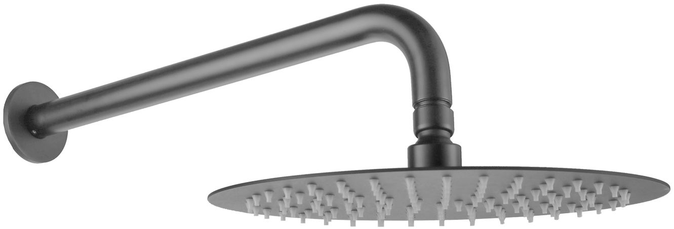 Allen Brau Priority Верхний душ круглый d25 см, с кронштейном 37,9 см, цвет: графит брашированный 5.31017-MG
