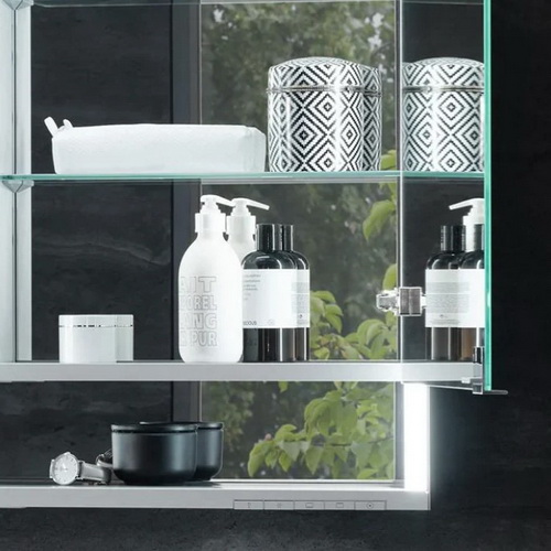 МАКСИМУМ СВЕТА