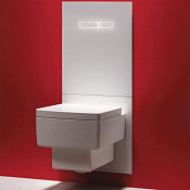 Tece Lux Нижняя панель для установки унитазов Duravit SensoWash C 9650103