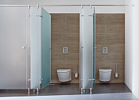 Grohe Skate Cosmopolitan Панель смыва для унитаза, 2 режима смыва, цвет: альпин-белый 38732SH0