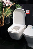 Roca Gap Чаша подвесного унитаза 35х54 см, без крышки, цвет: белый глянцевый 346477000