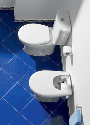 Roca Victoria Чаша напольного унитаза 35,5х65,5 см, без крышки, цвет: белый глянец 342399000