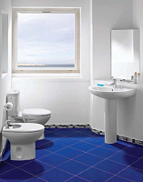 Roca Victoria Чаша напольного унитаза 35,5х65,5 см, без крышки, цвет: белый глянец 342399000