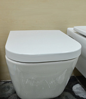 Roca Gap Чаша подвесного унитаза 34х54 см, безободковый, без крышки, цвет: белый глянцевый 34647L000