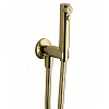 Bongio Set Doccia Гигиенический душ, цвет золото 00904OR00