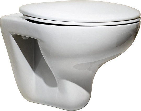 Roca Mateo Крышка-сиденье для унитаза, без микролифта, цвет: белый глянцевый ZRU9302815