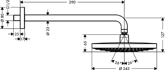Hansgrohe Raindance Select S Верхний душ 24 см, 2 вида струи, кронштейн настенный 39 см, цвет: хром 26466000