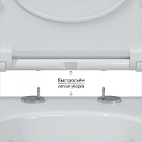 Berges Ego Унитаз подвесной Rimless 49х32,5h, цвет: белый 082111