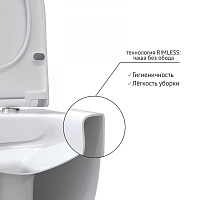 Berges Ego Xl Подвесной унитаз 54х32,5h, с сиденьем, цвет: белый 082124