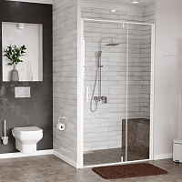 Wasserkraft Neime Душевая дверь 120х200h, профиль белый матовый, стекло прозрачное 19P05