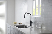 Timo Saona Смеситель для кухни однорычажный, цвет: черный матовый 2386/03FL