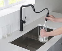 Timo Saona Смеситель для кухни однорычажный, цвет: черный матовый 2386/03FL