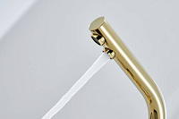 Paulmark Essen Смеситель для кухни с гибким изливом, цвет: золото Es213011-G