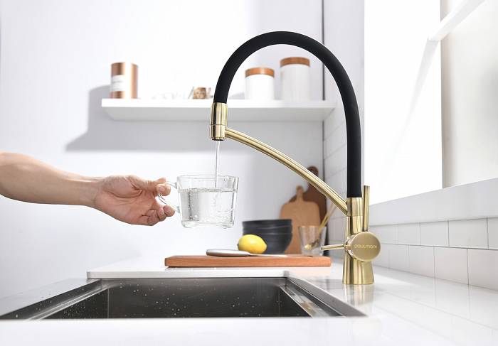 Paulmark Siеgen Смеситель для кухни с гибким изливом, цвет: бронза Si213111-BR