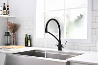 Paulmark Siеgen Смеситель для кухни с гибким изливом, цвет: антрацит Si213111-401