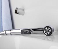 Смеситель Wasserkraft Main  для раковины с гигиеническим душем 4108