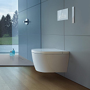 Duravit DuraSystem А2 Клавиша смыва стеклянная, 22,98х15,7 cм, цвет стекло белое WD5003012000