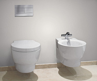 Система инсталляции для унитазов Jacob Delafon E21928RU-CP