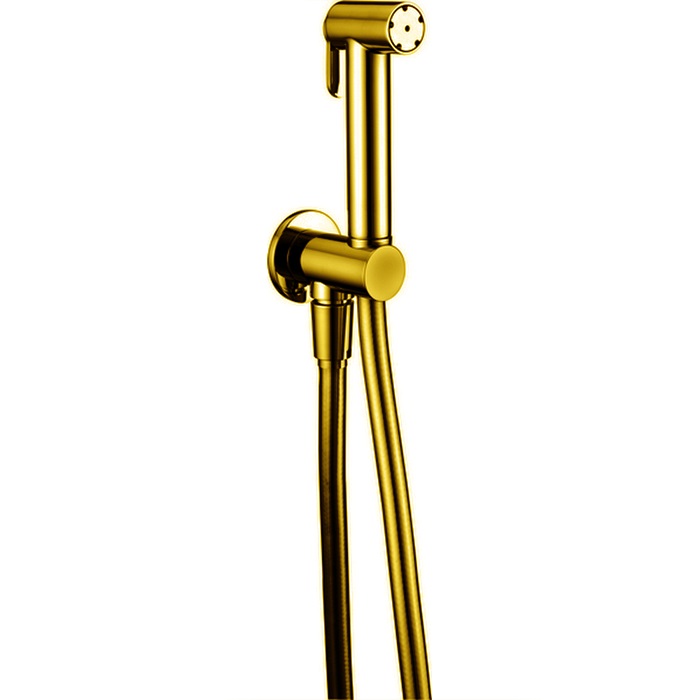 Cisal Shower Гидроершик, со шлангом 120 см, вывод с держателем, цвет: 24k gold A300791024