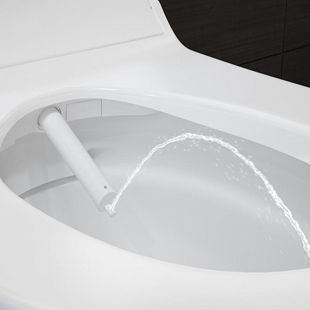 Geberit AquaClean Tuma Comfort Крышка-биде для унитаза с микролифтом, цвет: белый глянцевый 146.274.11.1