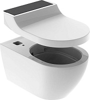 Geberit AquaClean Tuma Comfort Крышка-биде для унитаза с микролифтом, цвет: белый глянцевый 146.274.SJ.1