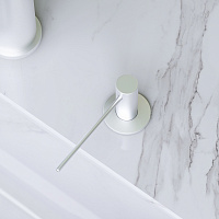 Am.Pm Gem Дозатор для жидкого мыла, встраиваемый, цвет: сатин брашированный A9037211