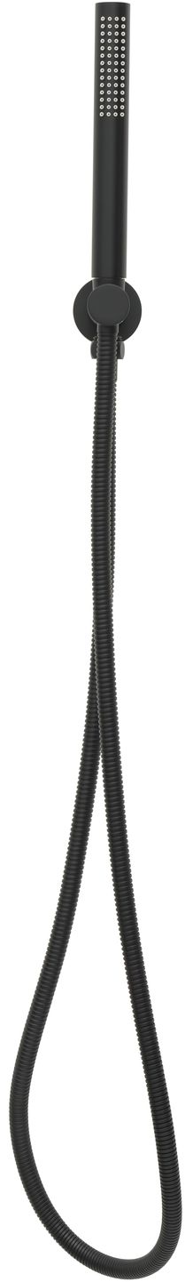 Allen Brau Priority Душевой гарнитур: ручной душ, держ. с выпуском, шланг 150 см, цвет: черный мат 5.31019-31