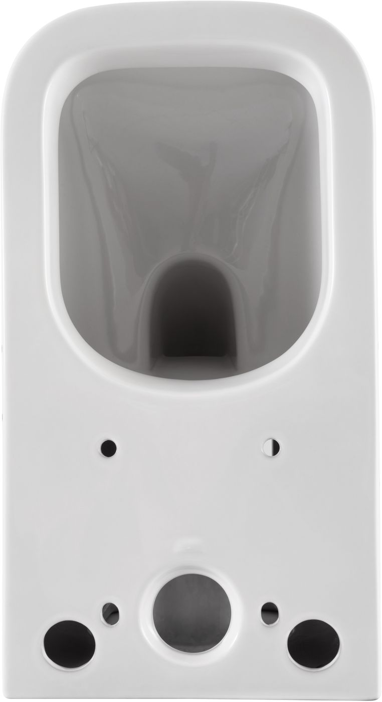 Allen Brau Infinity Чаша напольного унитаза 35,5x66 см каскадный смыв, цвет: белый глянцевый 4.21001.20