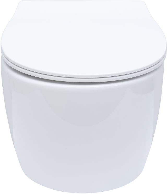 Allen Brau Fantasy Чаша подвесного унитаза 36,3x51 см каскадный смыв, цвет: белый глянцевый 4.11004.20