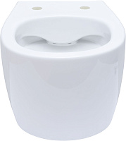 Allen Brau Fantasy Чаша подвесного унитаза 36,3x51 см каскадный смыв, цвет: белый глянцевый 4.11004.20