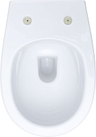 Allen Brau Fantasy Чаша подвесного унитаза 36,3x51 см каскадный смыв, цвет: белый глянцевый 4.11004.20