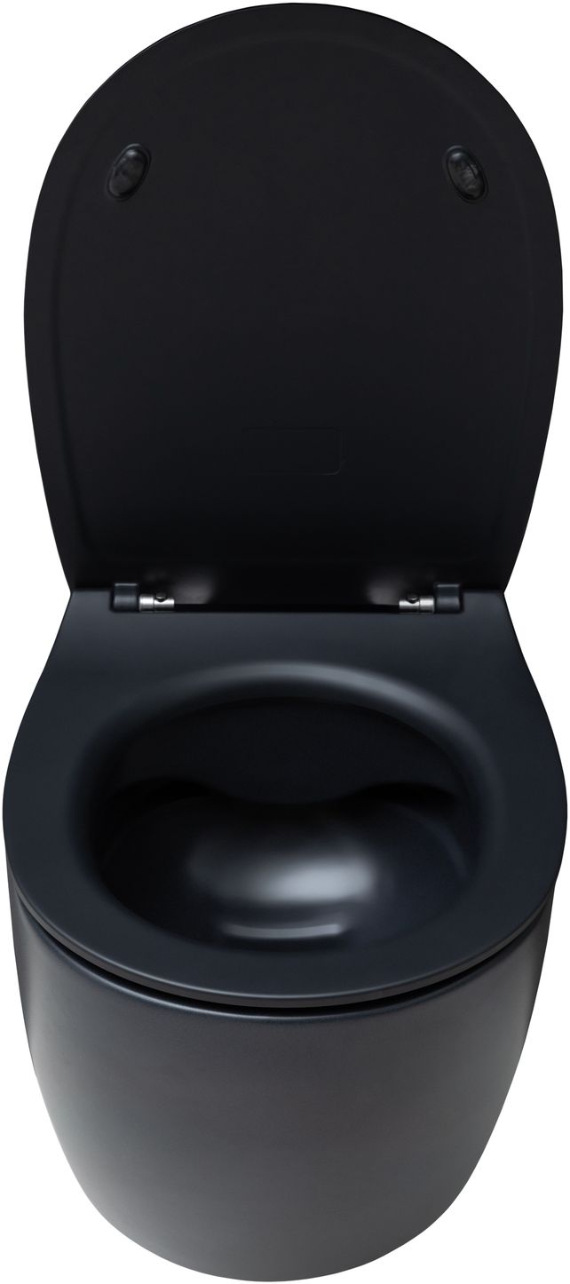 Allen Brau Fantasy Чаша подвесного унитаза 36,3x51 см каскадный смыв, цвет: черный матовый 4.11004.31