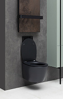 Allen Brau Fantasy Чаша подвесного унитаза 36,3x51 см каскадный смыв, цвет: черный матовый 4.11004.31