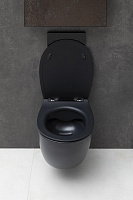 Allen Brau Fantasy Чаша подвесного унитаза 36,3x51 см каскадный смыв, цвет: черный матовый 4.11004.31