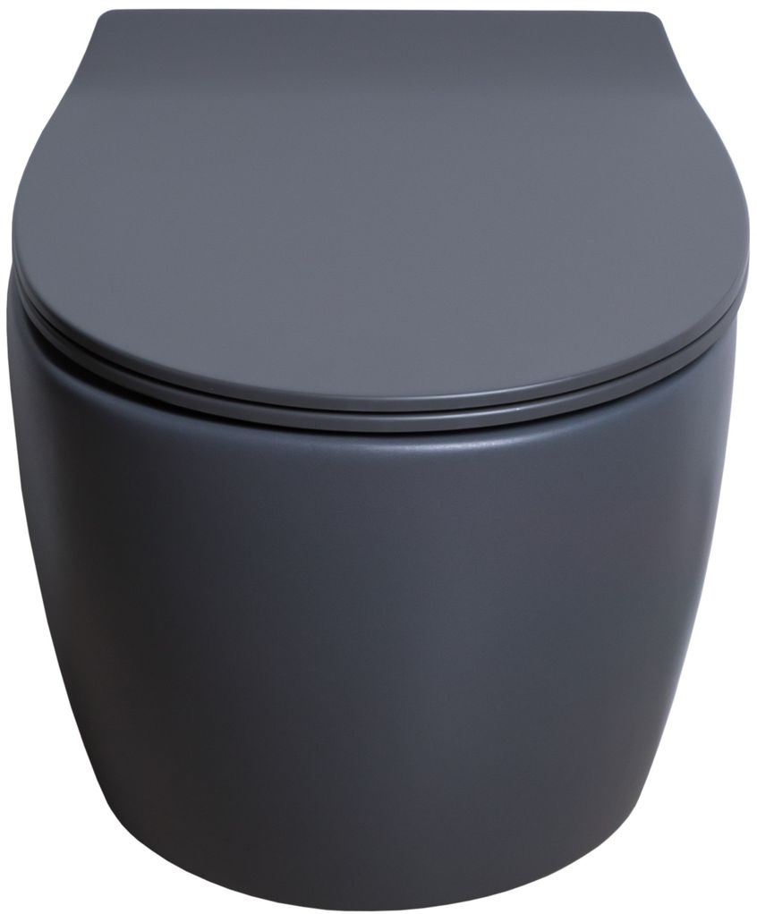 Allen Brau Fantasy Чаша подвесного унитаза 36,3x51 см каскадный смыв, цвет: антрацит 4.11004.AN