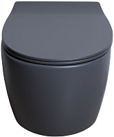 Allen Brau Fantasy Чаша подвесного унитаза 36,3x51 см каскадный смыв, цвет: антрацит 4.11004.AN