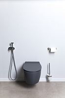 Allen Brau Fantasy Чаша подвесного унитаза 36,3x51 см каскадный смыв, цвет: антрацит 4.11004.AN