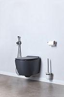 Allen Brau Fantasy Чаша подвесного унитаза 36,3x51 см каскадный смыв, цвет: антрацит 4.11004.AN