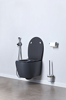 Allen Brau Fantasy Чаша подвесного унитаза 36,3x51 см каскадный смыв, цвет: антрацит 4.11004.AN