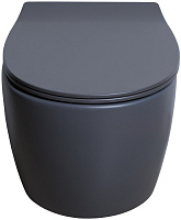 Allen Brau Fantasy Чаша подвесного унитаза 36,3x51 см каскадный смыв, цвет: антрацит 4.11004.AN