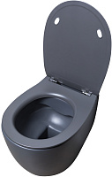 Allen Brau Fantasy Чаша подвесного унитаза 36,3x51 см каскадный смыв, цвет: антрацит 4.11004.AN