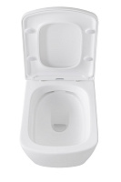 Allen Brau Liberty Чаша подвесного унитаза 36x50 см каскадный смыв, цвет: белый глянцевый 4.33004.20