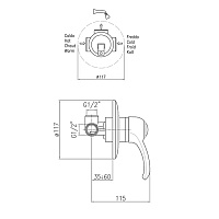Webert Aurora Встраиваемый смеситель для ванны, цвет: хром/золото AU880101017